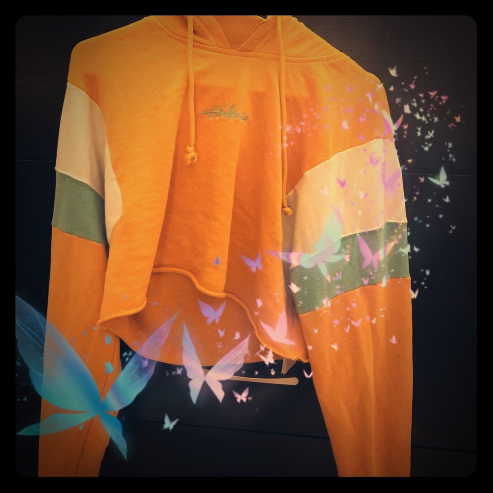 𝚈𝚎𝚕𝚕𝚘𝚠 𝚋𝚕𝚞𝚎 𝚑𝚘𝚍𝚍𝚒𝚎 𝚌𝚛𝚘𝚙 𝚝𝚘𝚙